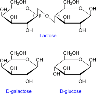 Glucosa y galactosa