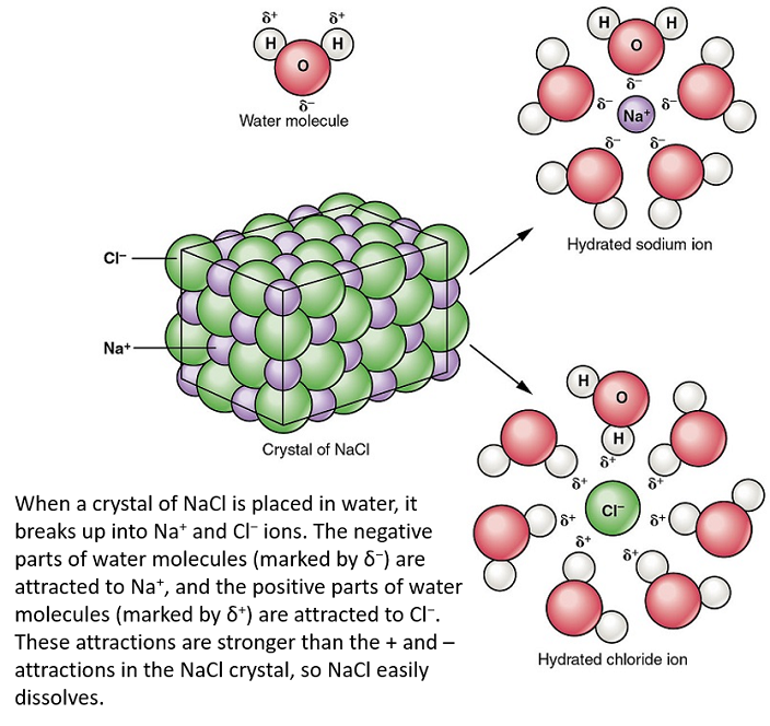 NaCl disolviéndose en agua