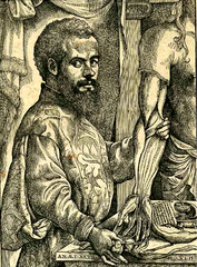 Vesalio