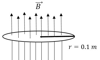q1