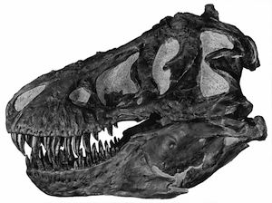 trexskull90