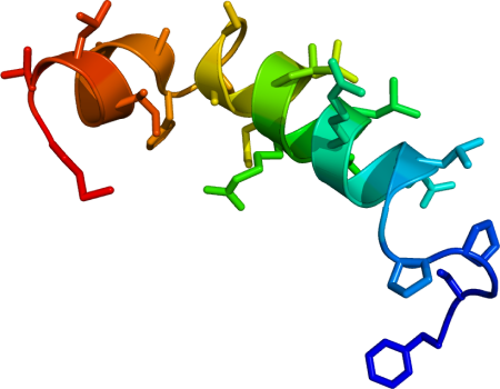 Un modelo tridimensional con los colores del arcoíris que representa la estructura de la orexina B.
