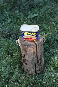 Una fotografía de una lata de SPAM sobre un tronco rodeado de hierba verde.