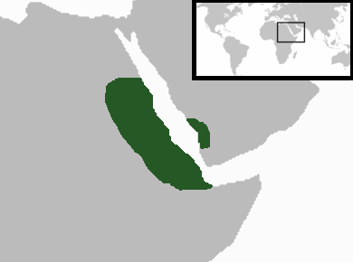 Aksum