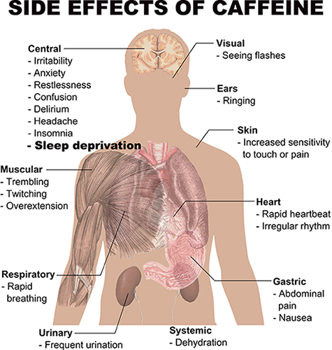 Efectos de la cafeína en el cuerpo