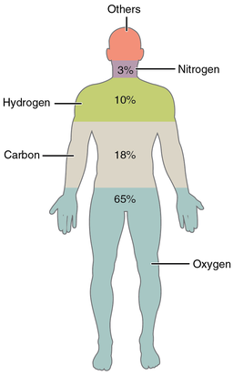 imagen de composición de elementos humanos