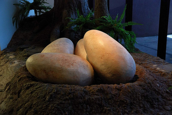 dinoegg