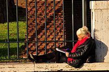 Adulto, leer un libro