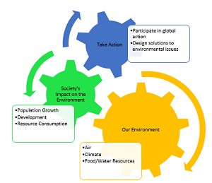 Alfabetización ambiental