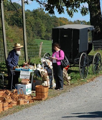 Mercado Amish Roadside