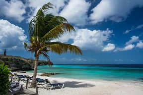 zona tropical