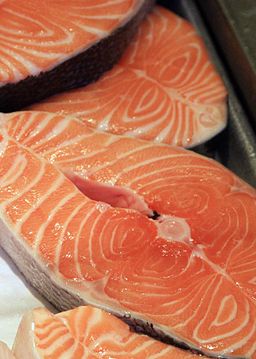 Salmón