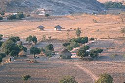 Granja Shona