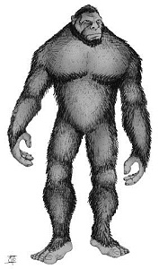 Dibujo De Bigfoot