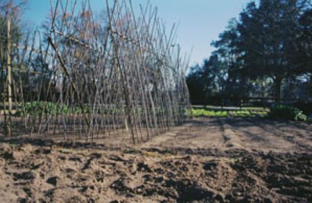 Una fotografía en color de un terreno con equipos agrícolas en el suelo