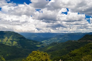 Bosque atlántico