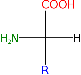 composición de aminoácidos