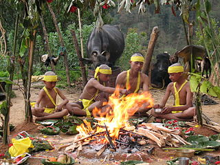 Gente subtropical