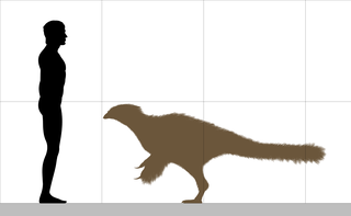 Una ilustración de un beipiaosaurus junto a un humano que representa su tamaño más pequeño.