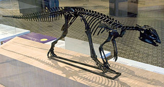 Hypsilophodon