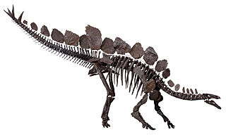estegosaurio
