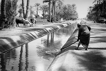 Canal de irrigacion