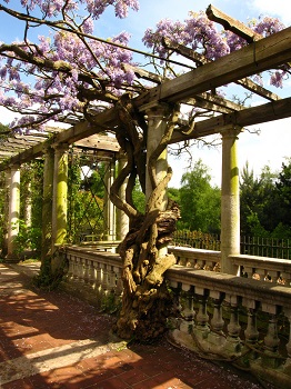 Pérgola