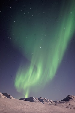 Aurora