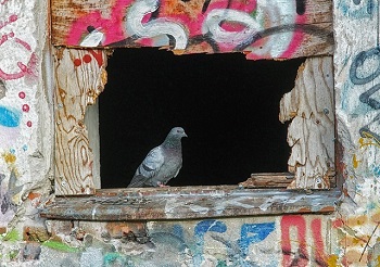 Alféizar de ventana de granito