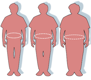 tamaño de la cintura de la obesidad