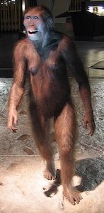 Una fotografía de una figura modelo humanoide parecida a un simio de pie.