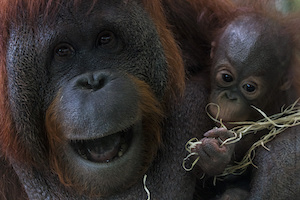 madre con bebe