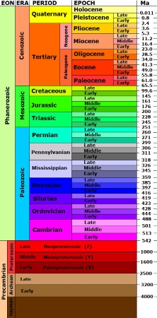 La escala de tiempo geológico en forma de tabla.