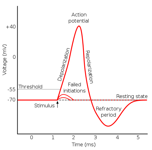 Gráfico de potencial de acción