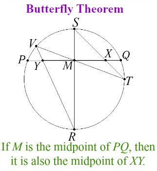 Mariposa2