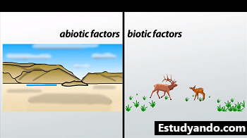 Diagrama de factores bióticos y abióticos