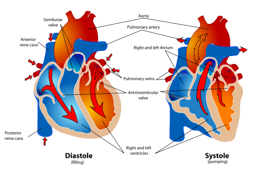 Corazón
