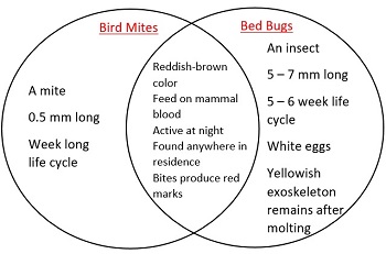 venn