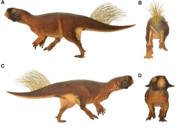 Concepción artística de Psittacosaurus