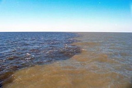 Una imagen del agua que transporta sedimentos marrones del río Mississippi sin mezclarse con el agua del Golfo de México.