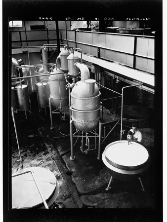 Esta imagen muestra un antiguo laboratorio de destilación para destilar aceite de eucalipto.
