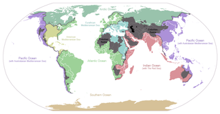 Cinco océanos del mundo