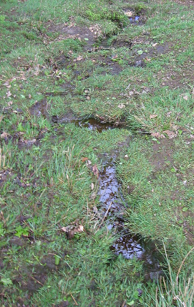 Agua que fluye en un arroyo dentro de una zona de césped.