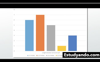 gráfico de barras, por ejemplo, datos