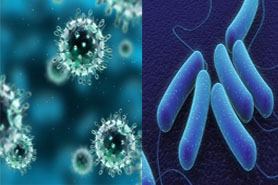 Vista microscópica de virus y bacterias.
