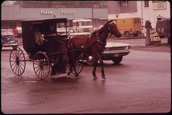 caballo y buggy