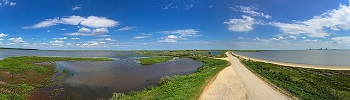 Estuario