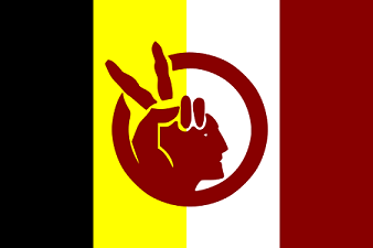 Bandera AIM