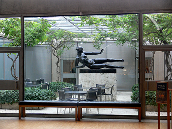 Patio de KImbell