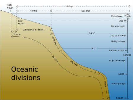 Las zonas de profundidad oceánica